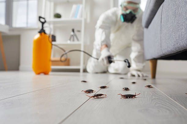 Commercial Kitchen Cockroach Control in Big Stone Gap